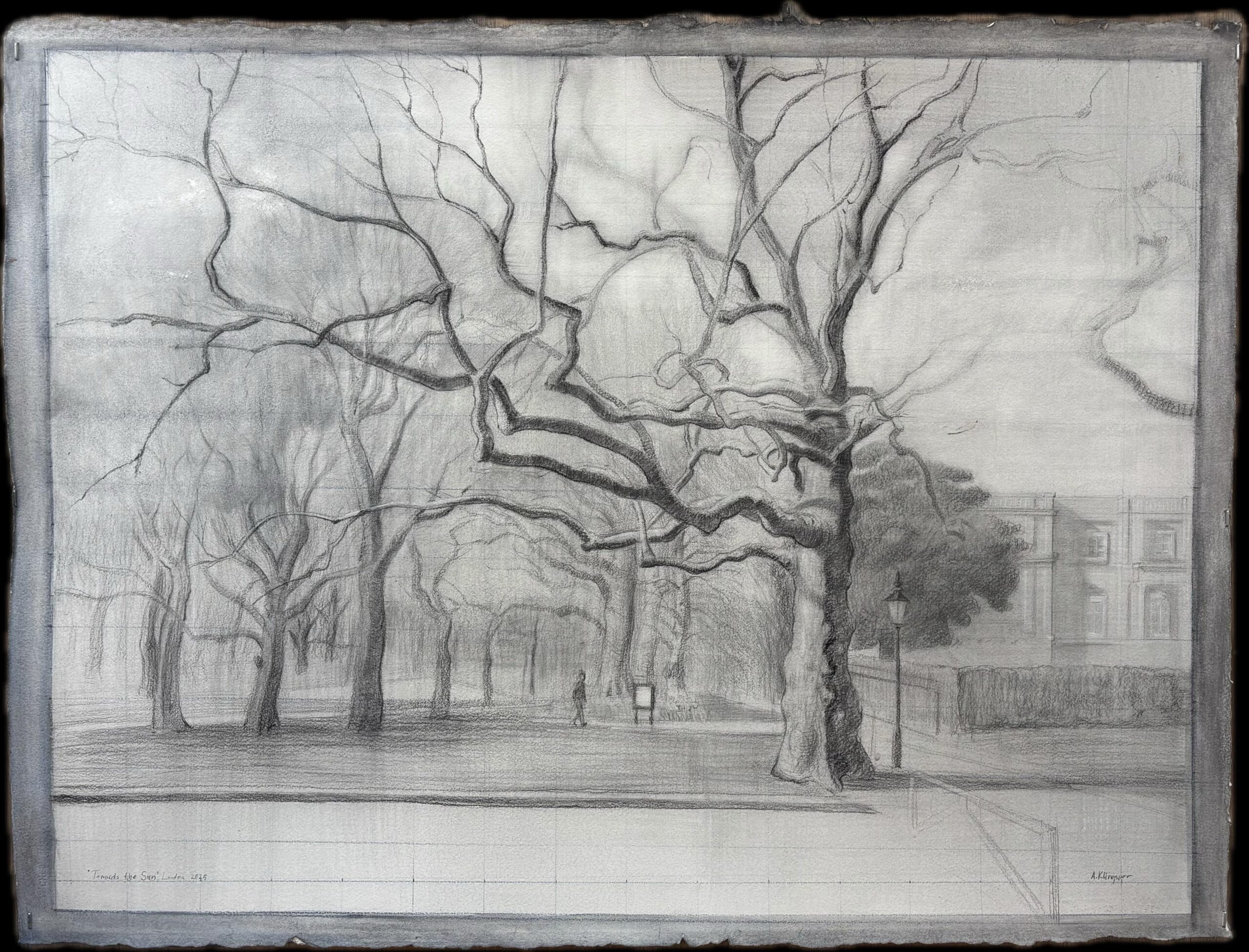 Drawing of a tree